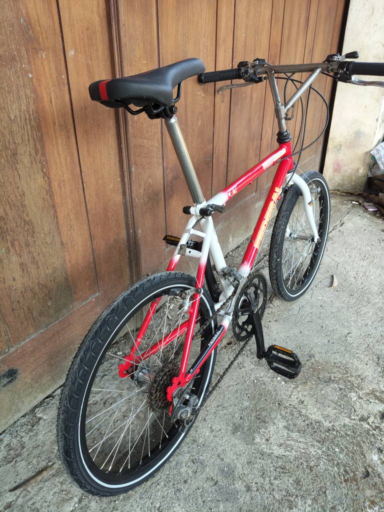 Sepeda federal mini r20