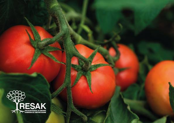 Productos Resak | Cayambe