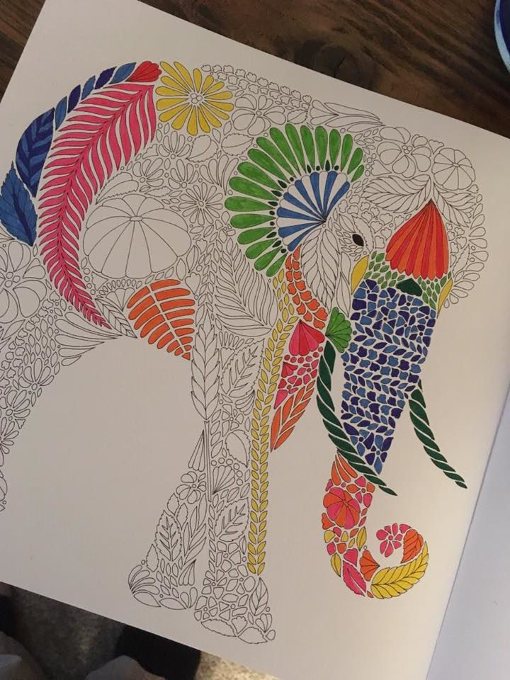 The Bossy Elephant