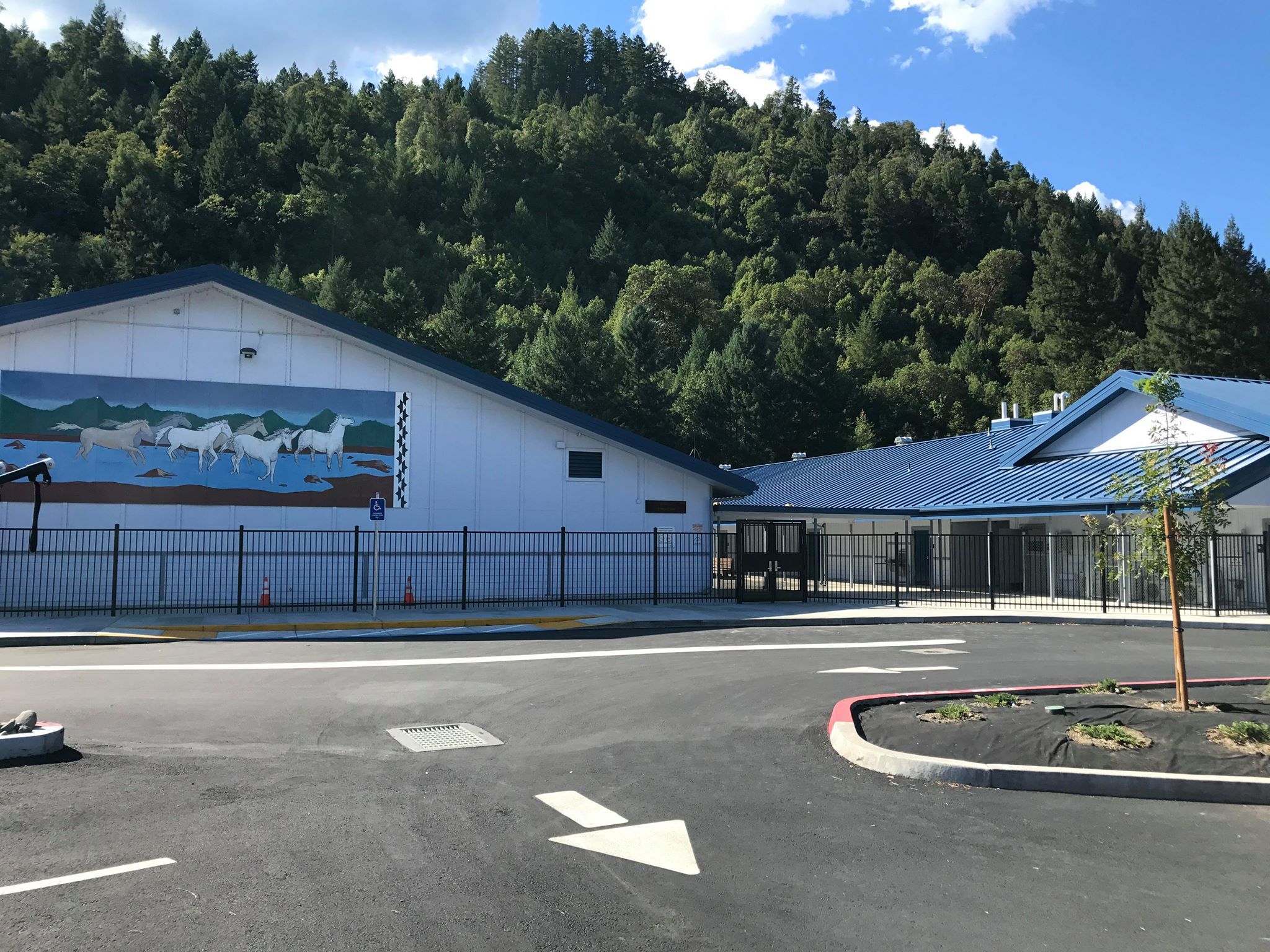 Trinity Valley Elementary School | Willow Creek CA