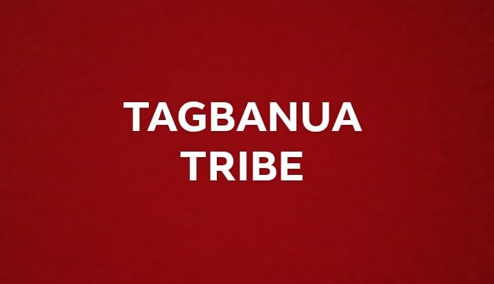 S&L Tagbanua Tribe Association