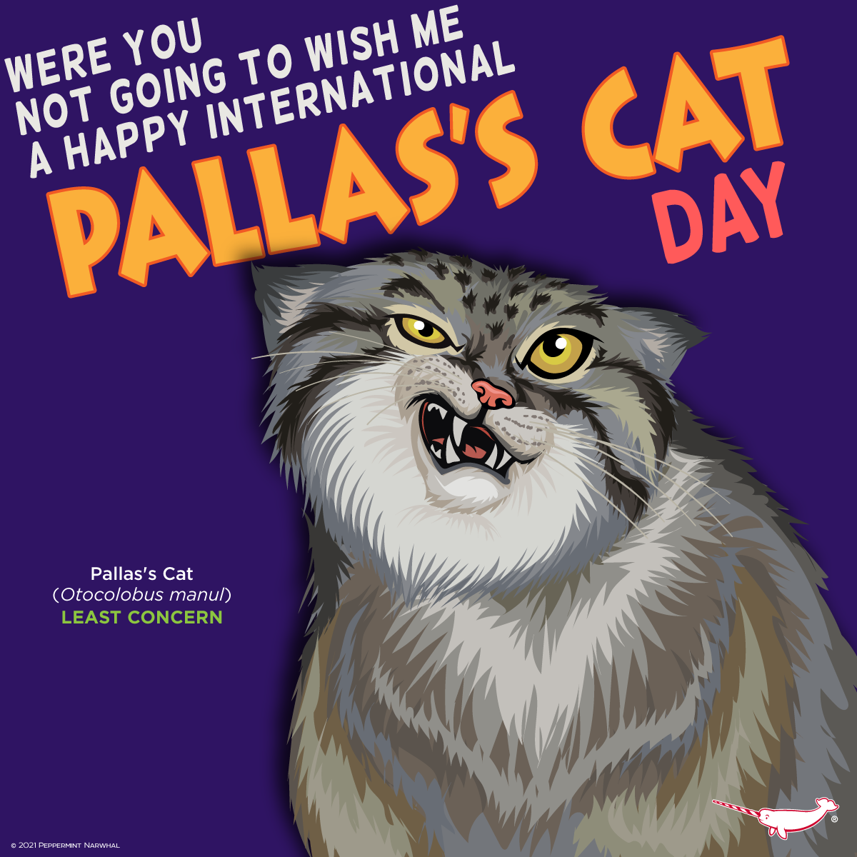 happy-pallas-s-cat-day-peppermint-narwhal-creative