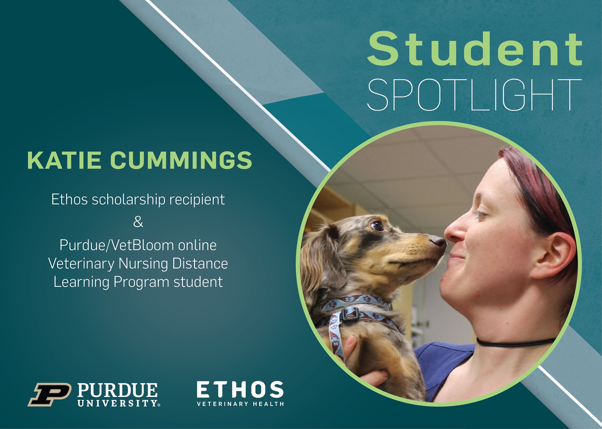Ethos Learning & Development | Woburn MA