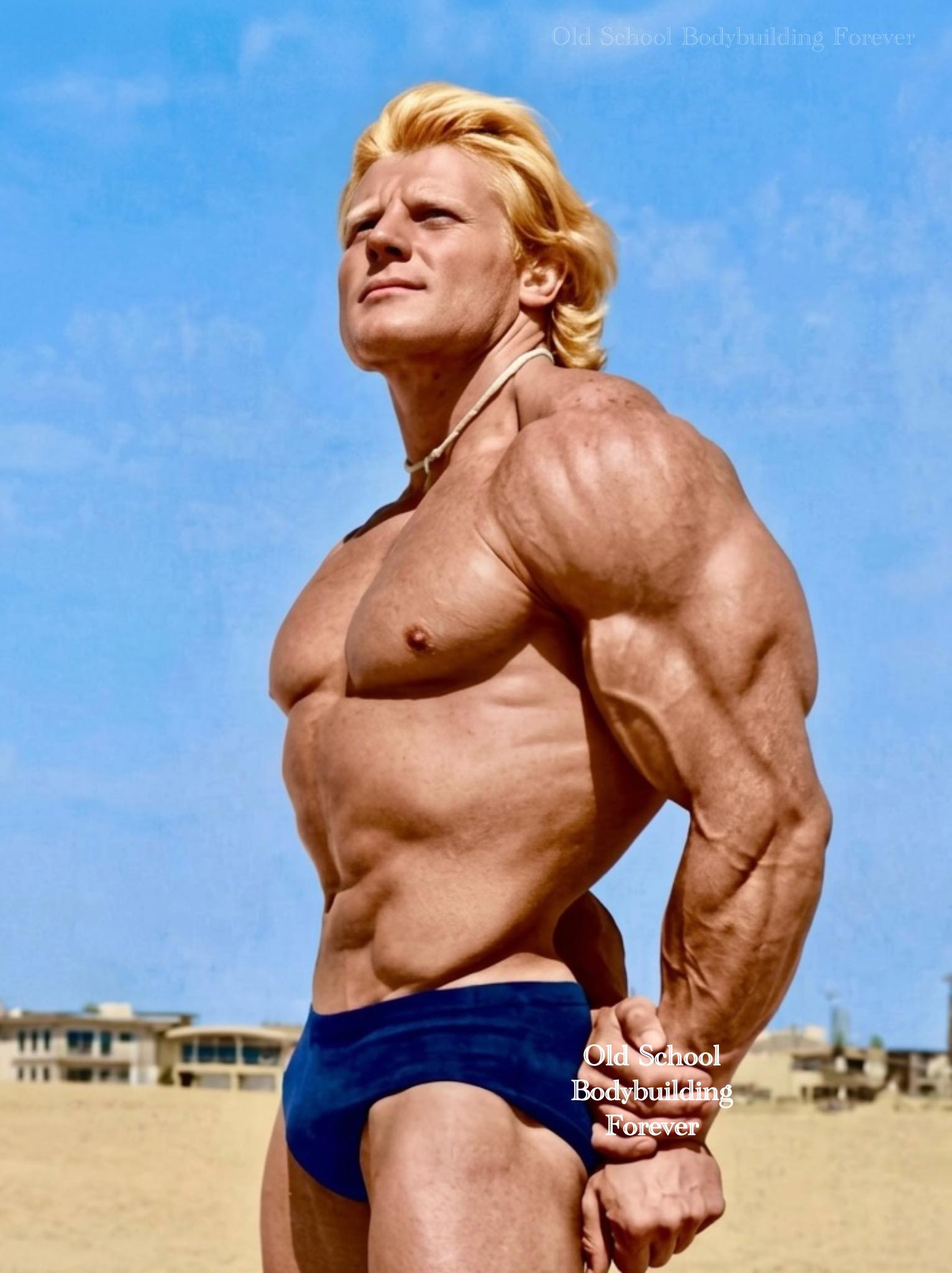 Remembering the golden era of bodybuilding