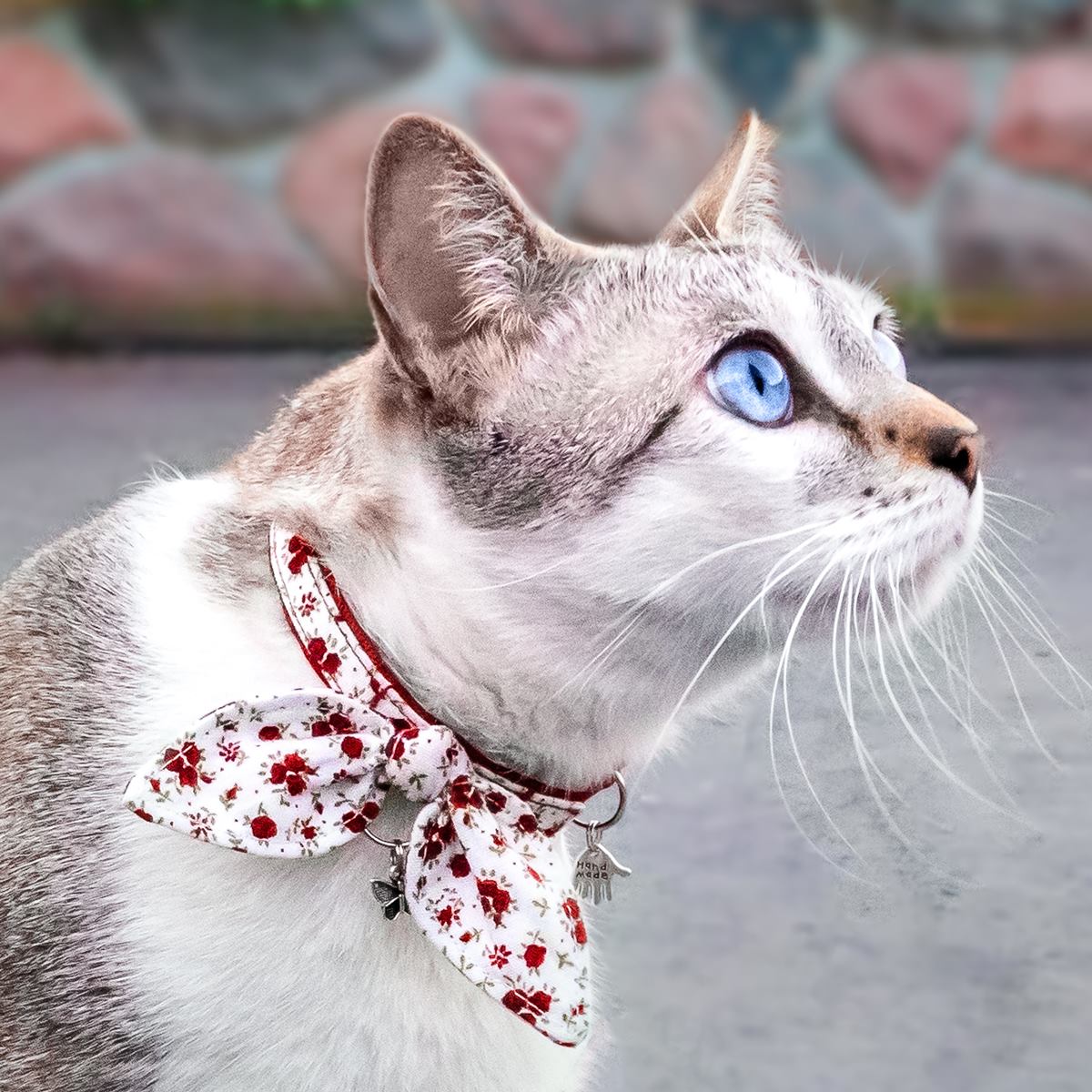 Quango Pets - 🎀😻 Este collar artesanal es el accesorio... | Facebook