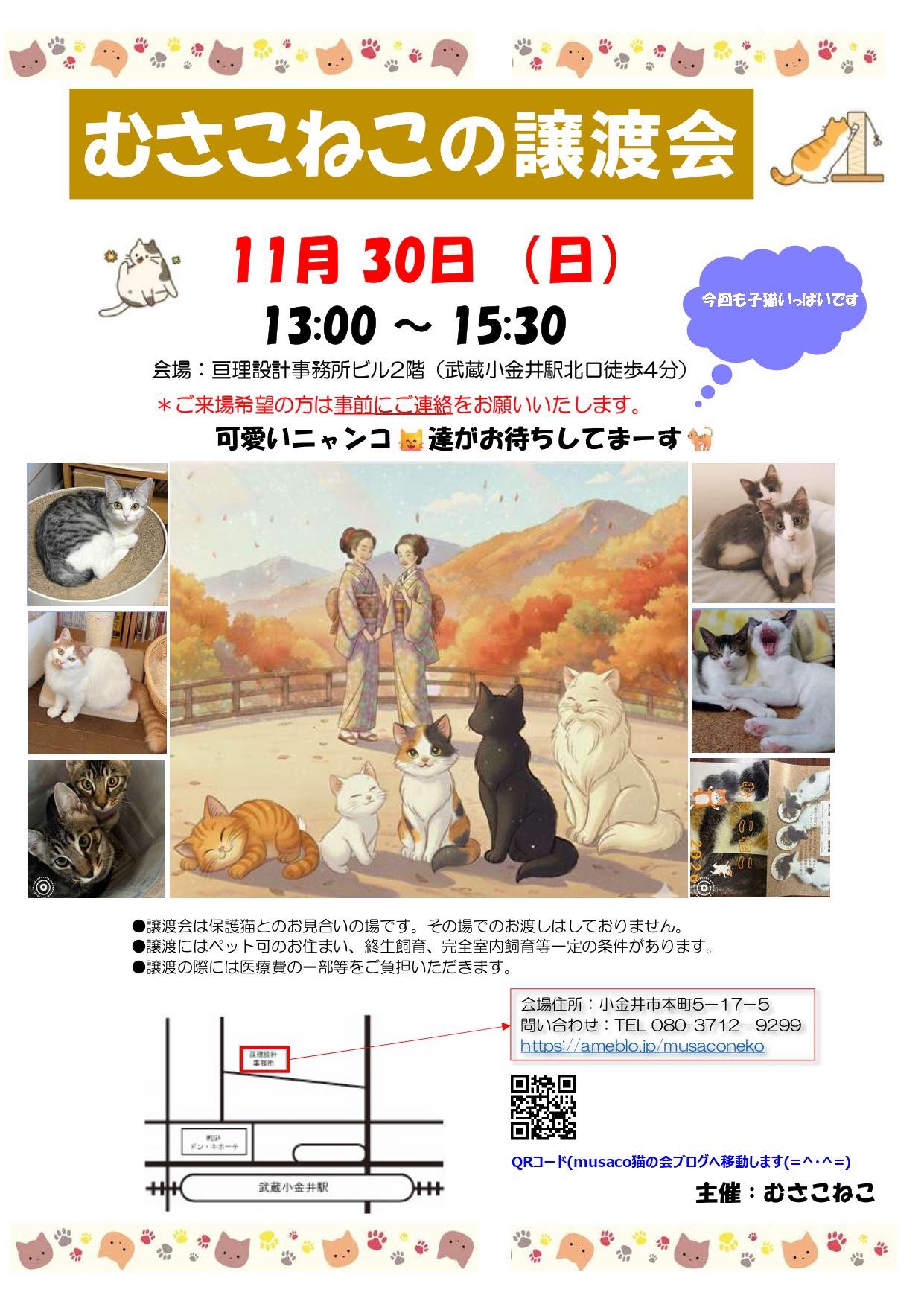 今月末の日曜日にむさこねこ?による猫の譲渡会がありますので共有させ 
