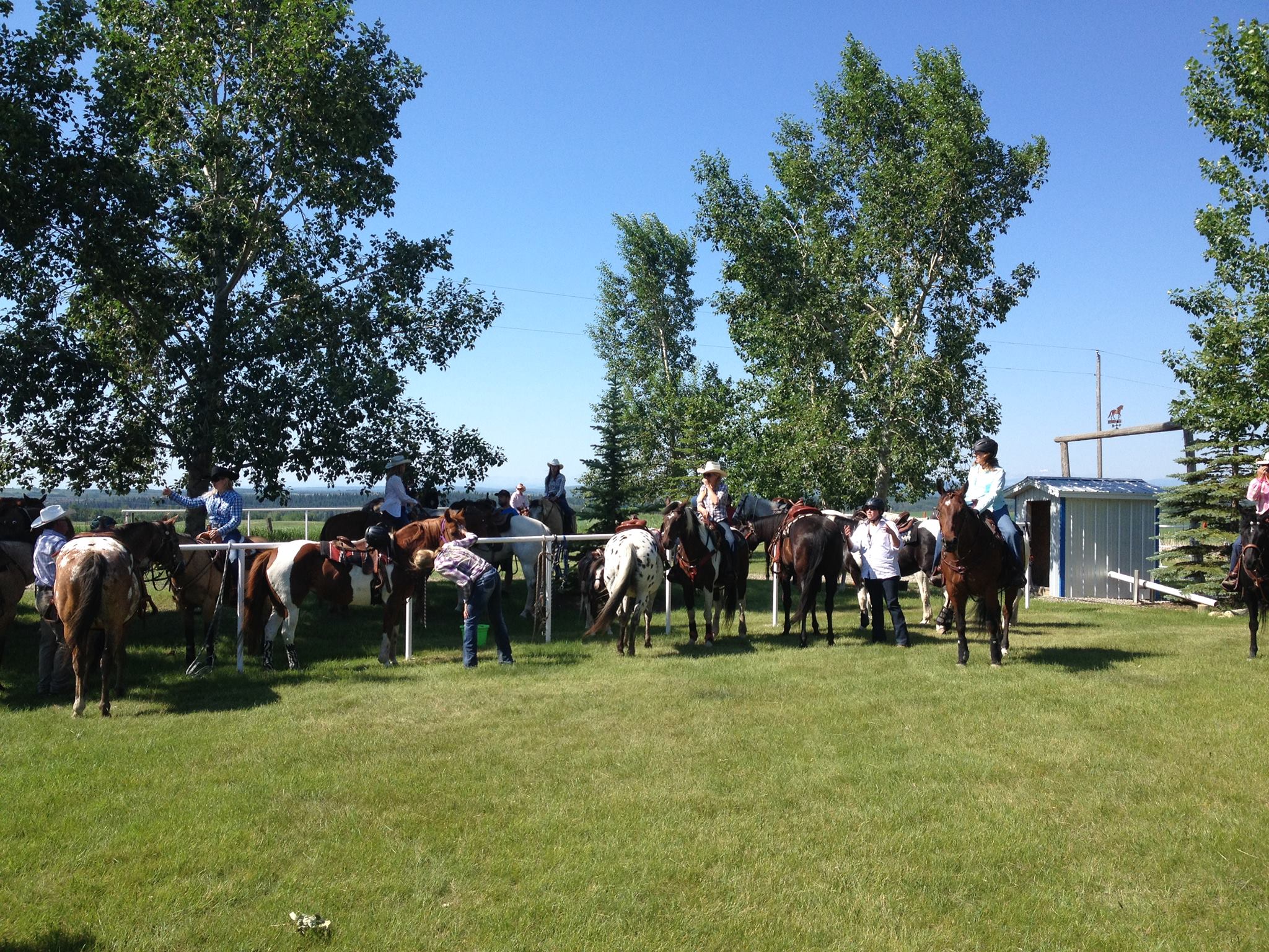 Calgary Western Riders | Calgary AB