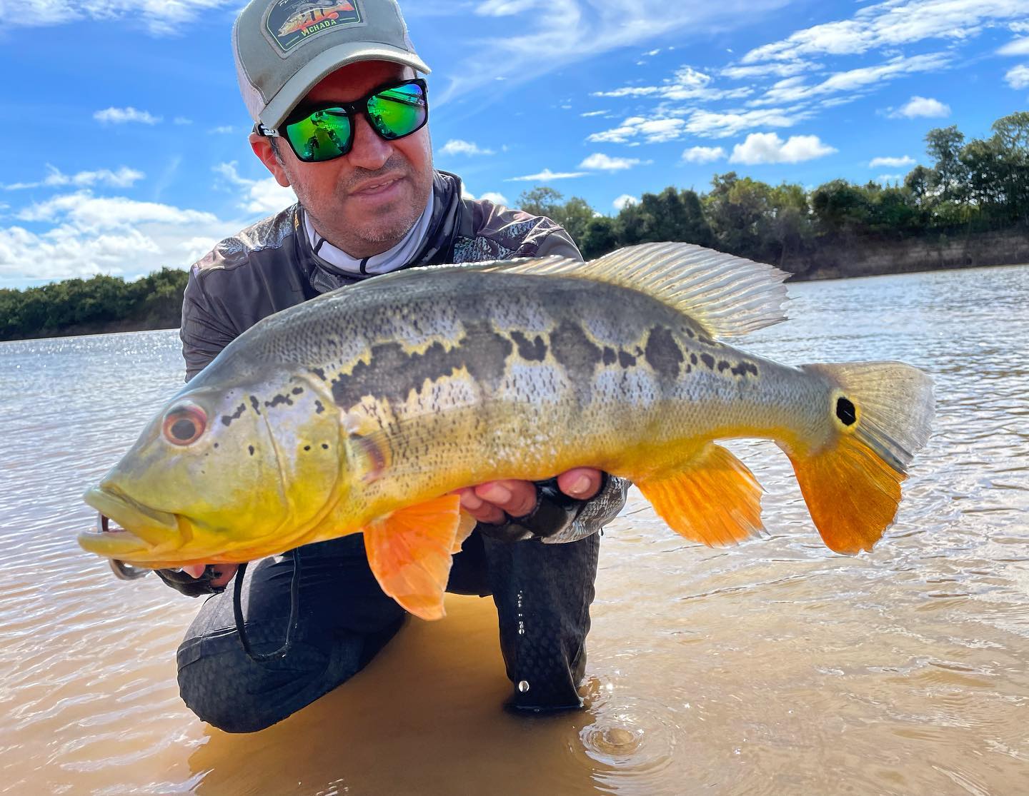 Que especie de tucunaré es... - Edward Rengifo Fishing Tours | Facebook