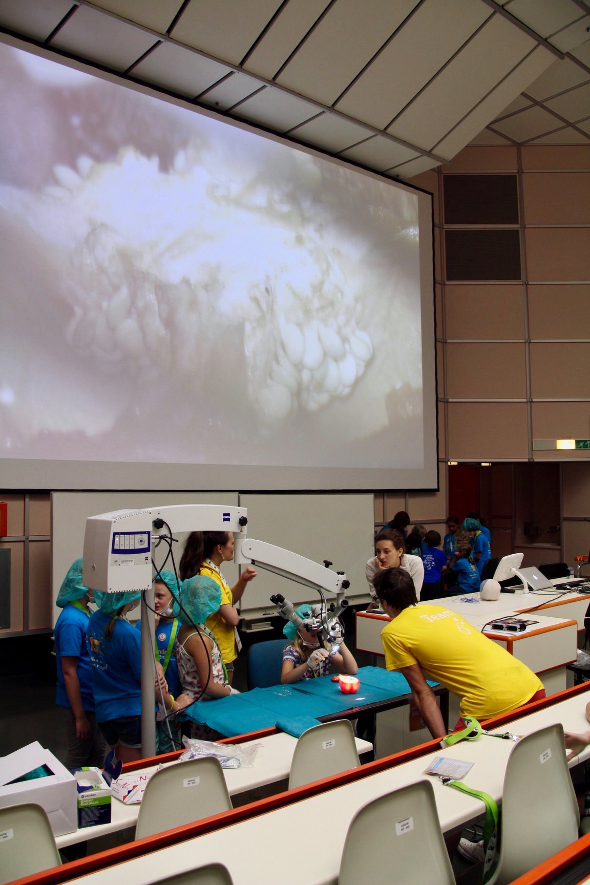 Neurochirurgische Wahlarztordination Priv-Doz DDr Philippe Dodier | Wien