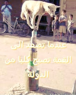انا حر انا سبك انا حبك كلب الدولا مغربي Moroco Facebook