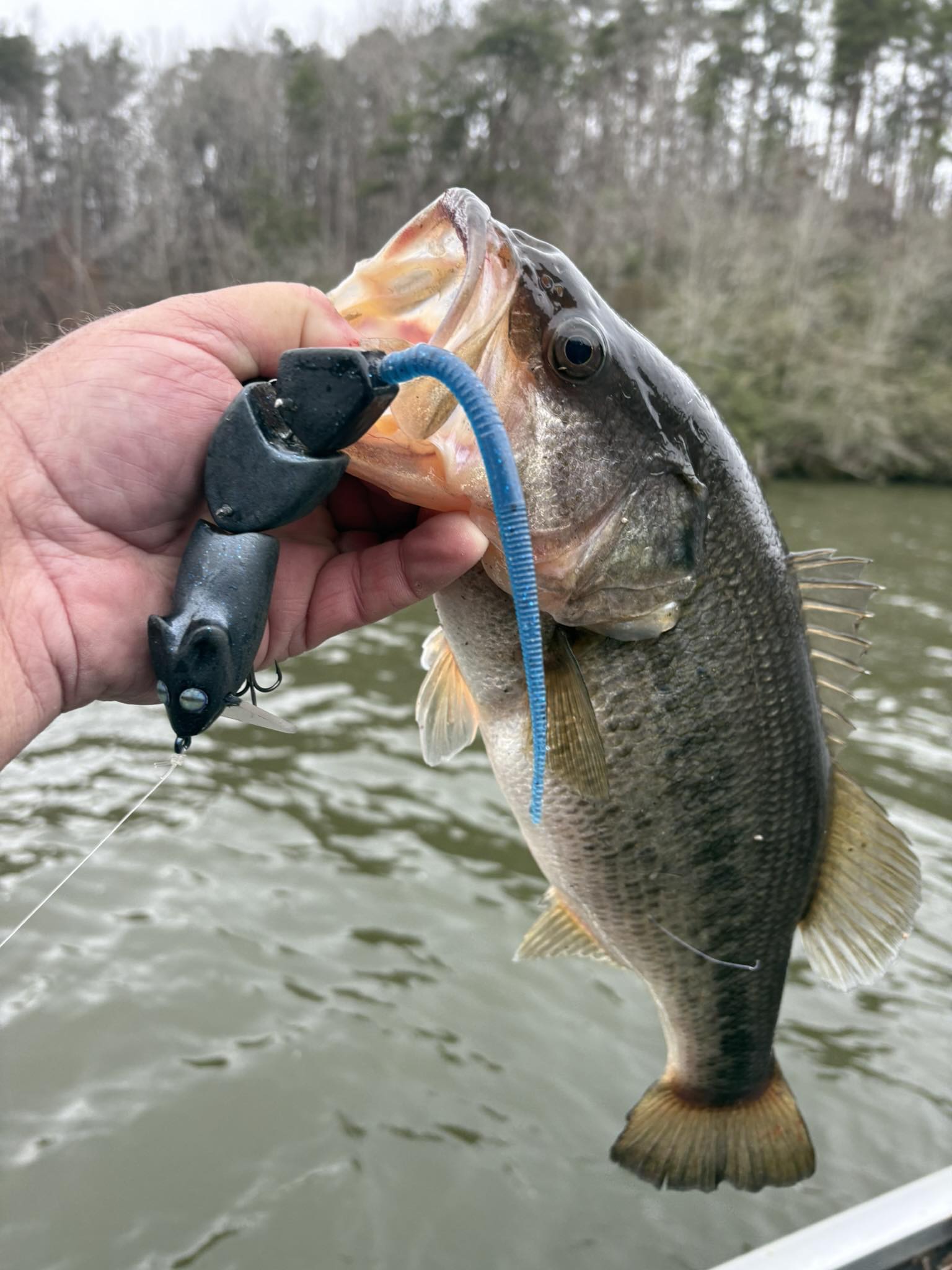 2000 fishing reel Piscifun Mystery Tackle Box Freshwater / Right Hand Hook Size for Bass: 100 carbon fiber drag Lures | Saltwater Trolling Lures Finish:Cotton White