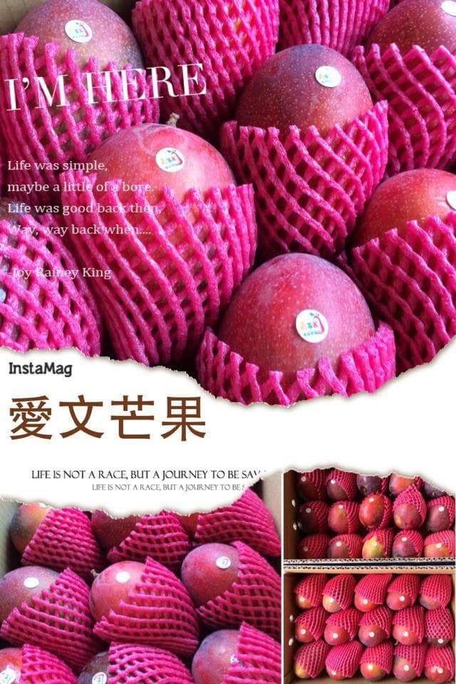 嘉蒂麗果園 蜜彩新世界 嘉蒂麗果園 蜜彩新世界 Added A New Photo