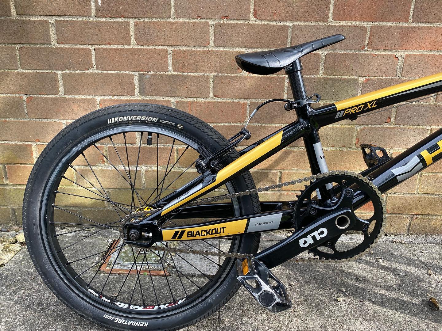 Haro Blackout Pro XL• This bike looks mean, fast and exotic all at 