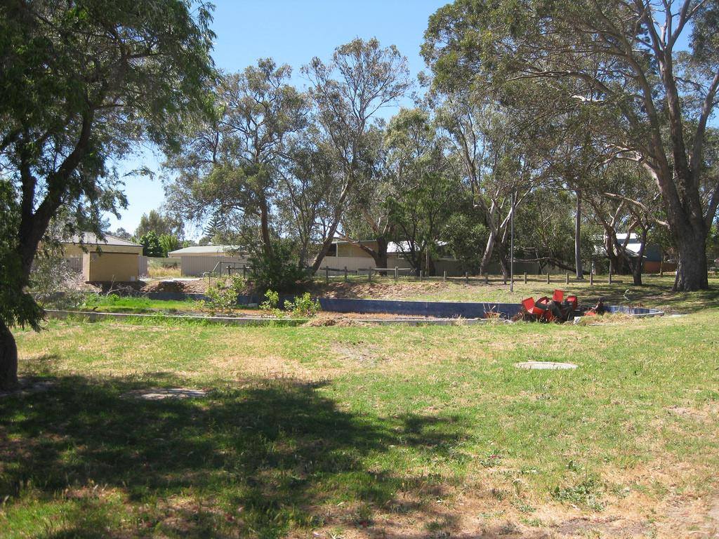 Allenswood Primary School... - Allenswood Primary School