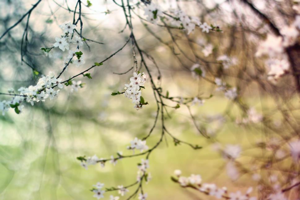 Ari-Maj - Spring | Facebook