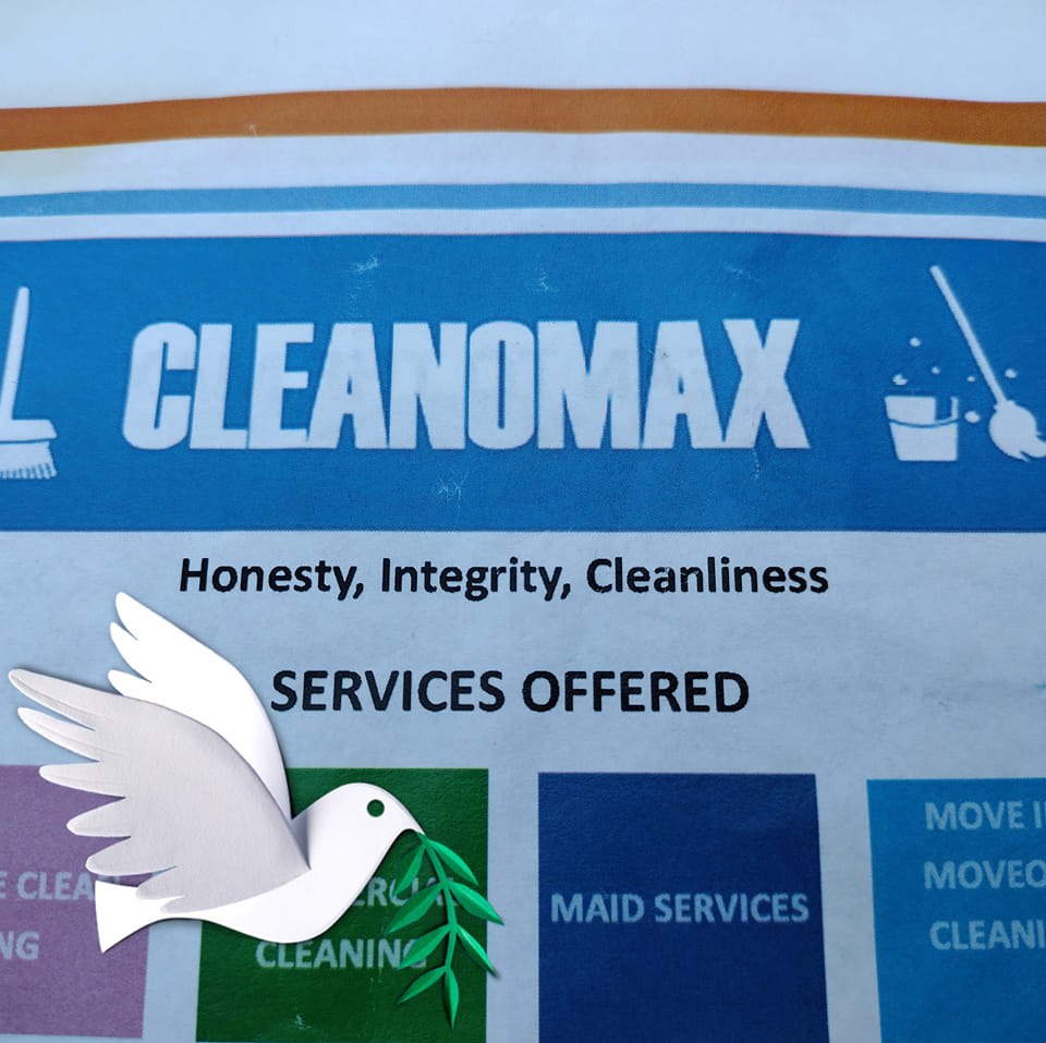 Cleanomax services