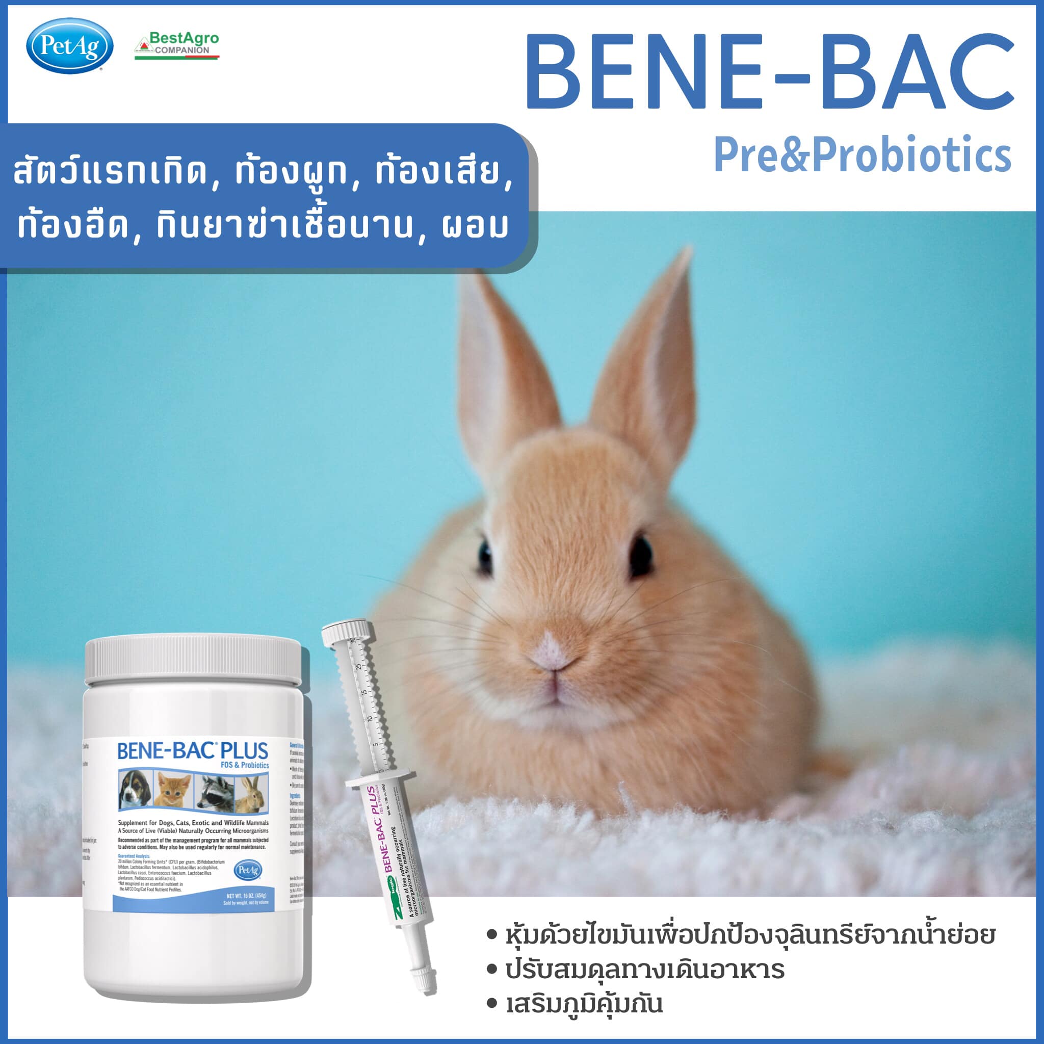 โปรไบโอติก หรือ จุลินทรีย์ชนิดดี... - BestAgro Companion | Facebook