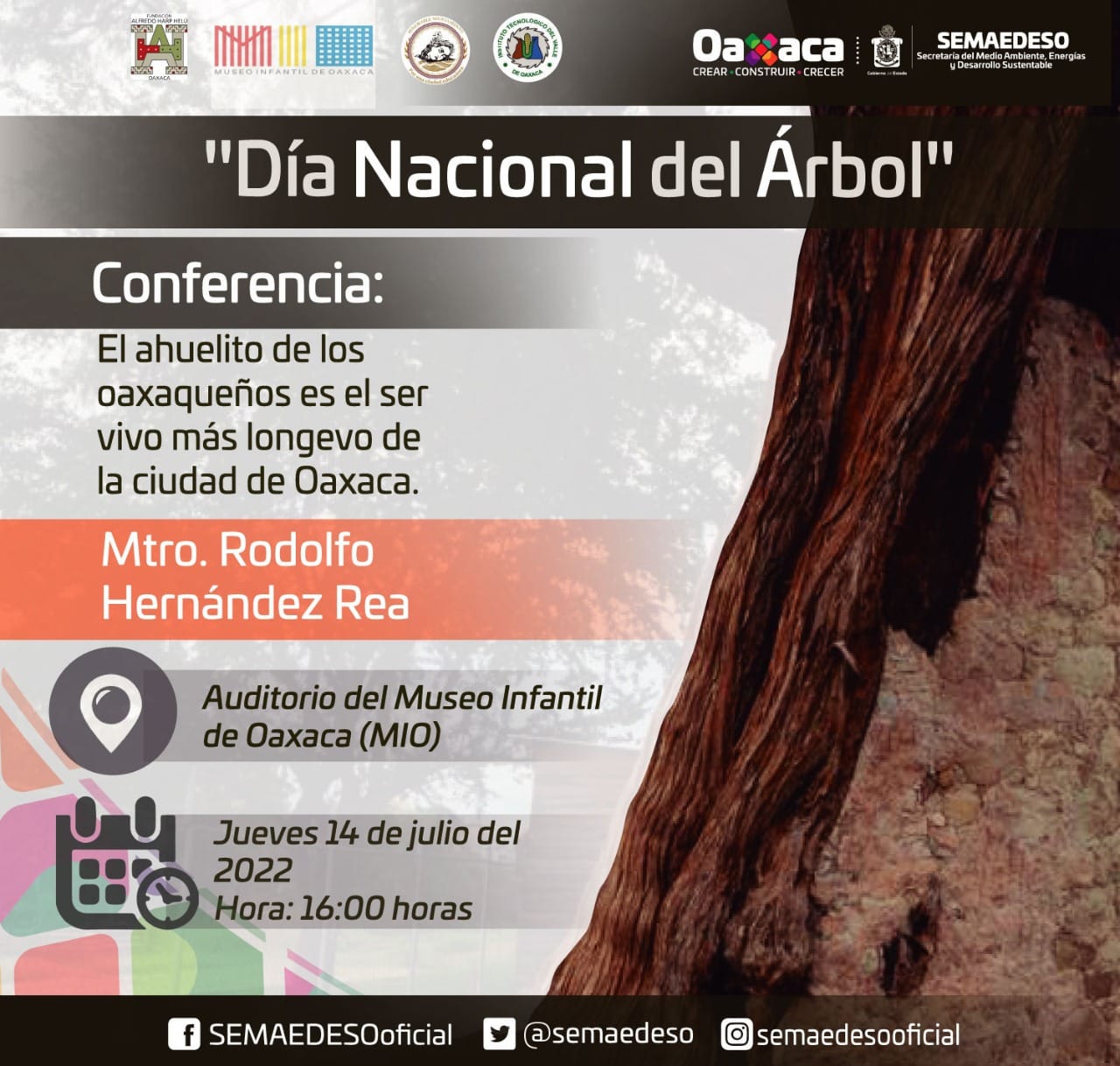 #Hoy || En el #DíaNacionalDelÁrbol, conoce la historia del emblemático ...