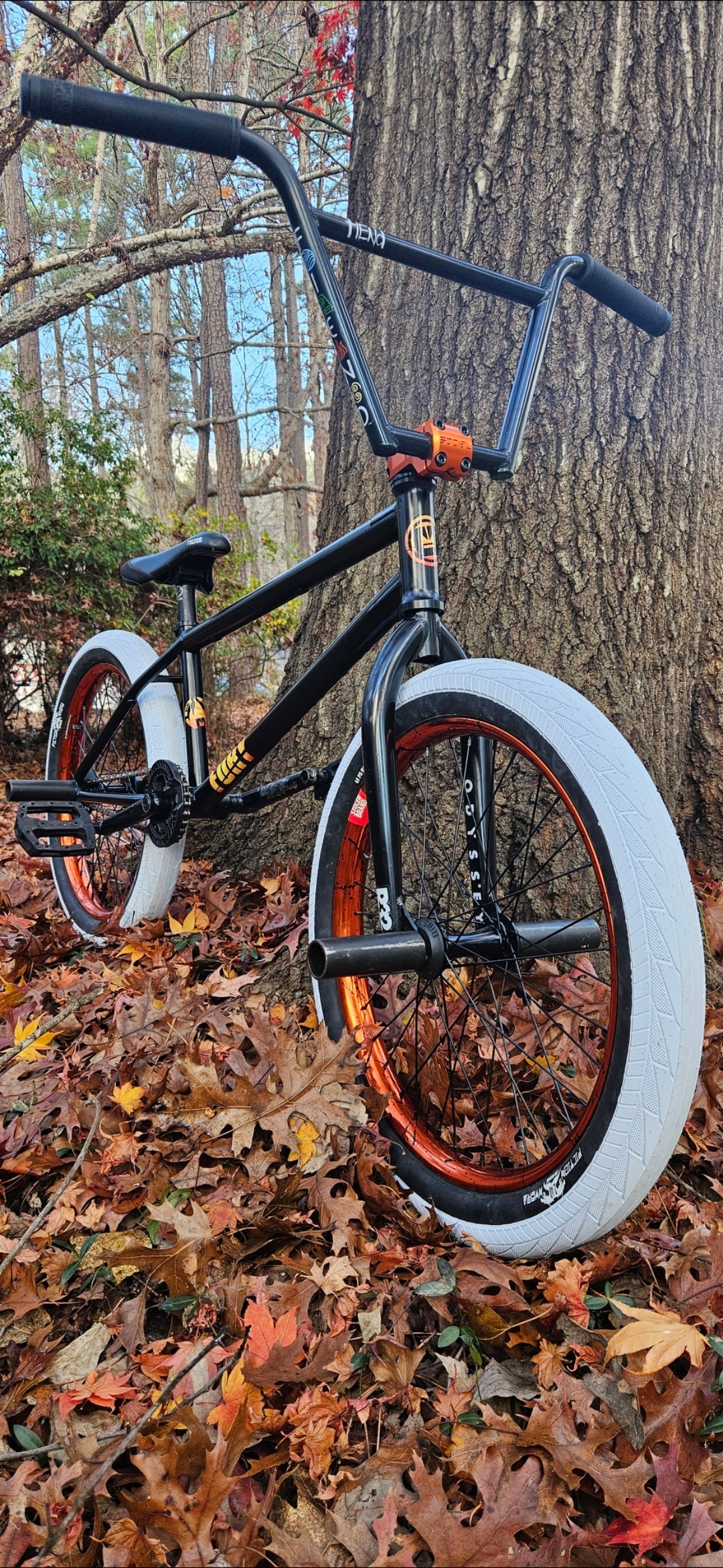 Macneil BMX bike build with Parliament frame and TNT bars