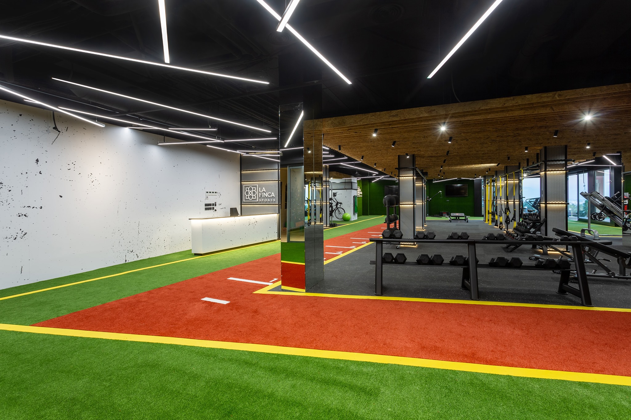 PowerFit Studio at Cap Cana - Estos son los ingredientes para un batido ...