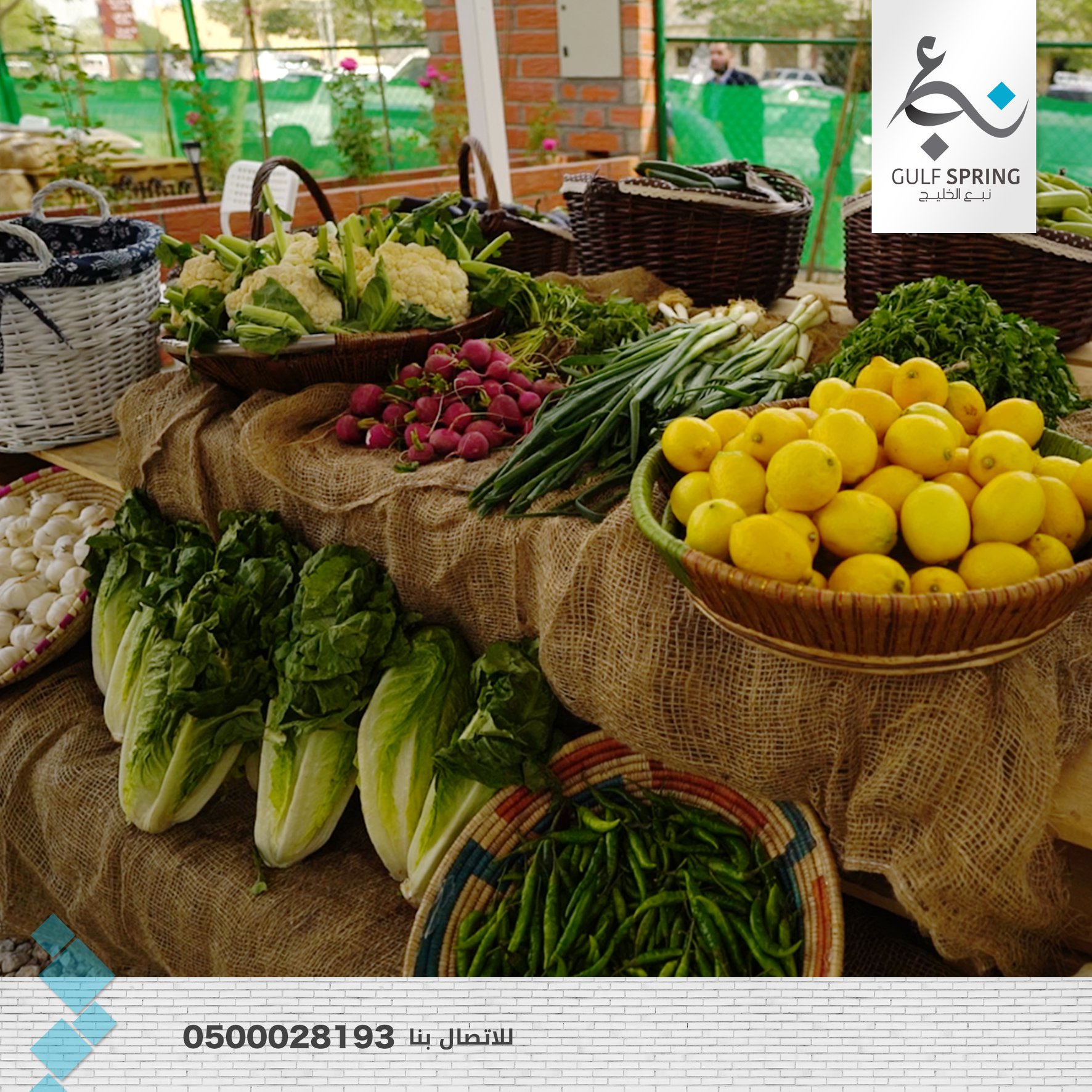 نبع الخليج Gulf spring | Riyadh