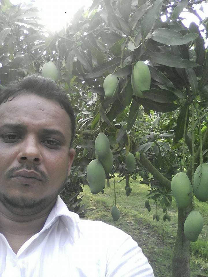 Mahabub fruits | Dhaka