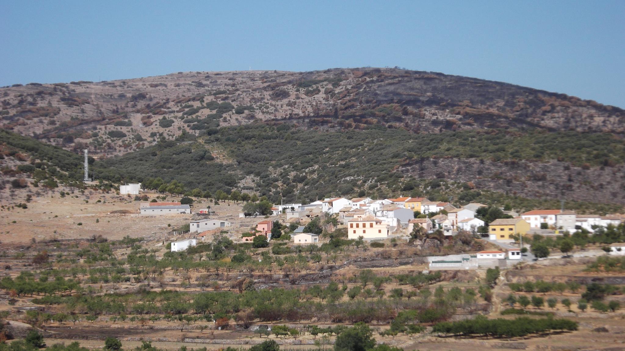 saca-et