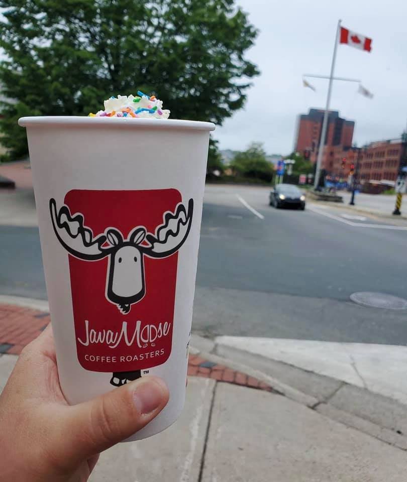JavaMoose Valley | Rothesay NB
