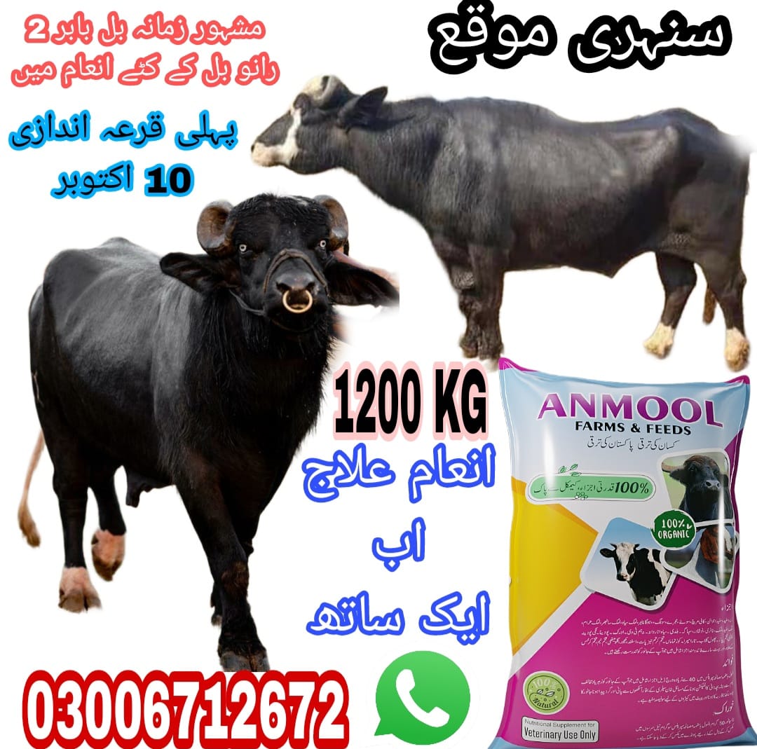 Anmol Farms&Feeds | Rahimyar Khan