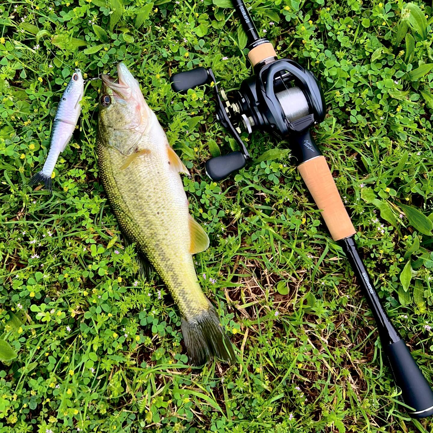 bird feather fly fishing lure london npr RIO's Duck Norris 3watersaccessory 6 blue and white Pole Holder Bank Pack Line Rating (lb-test):150#