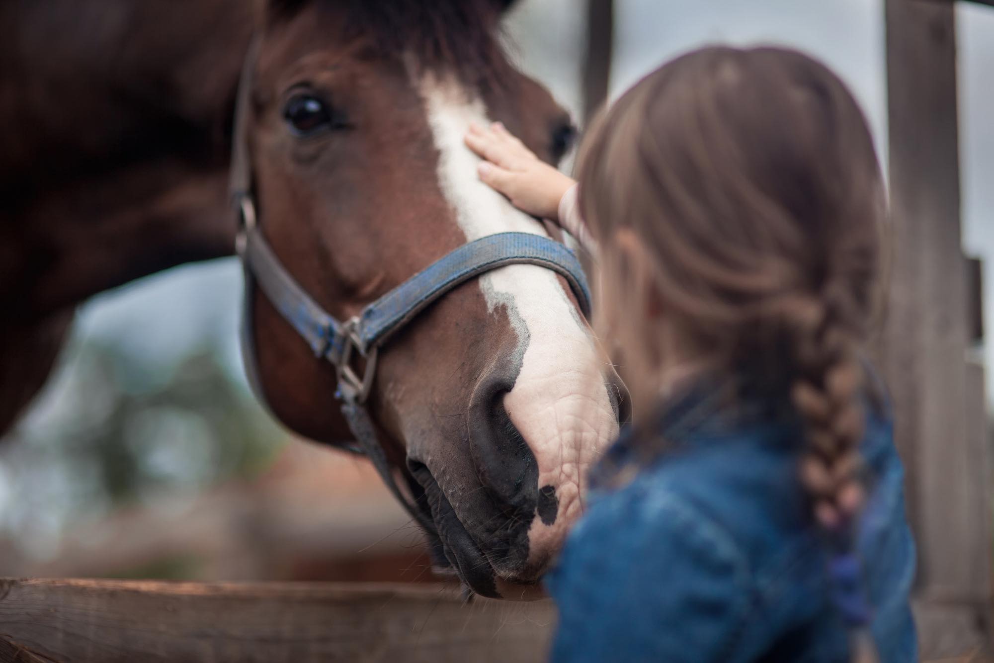 The Reset Ranch | Murrieta CA