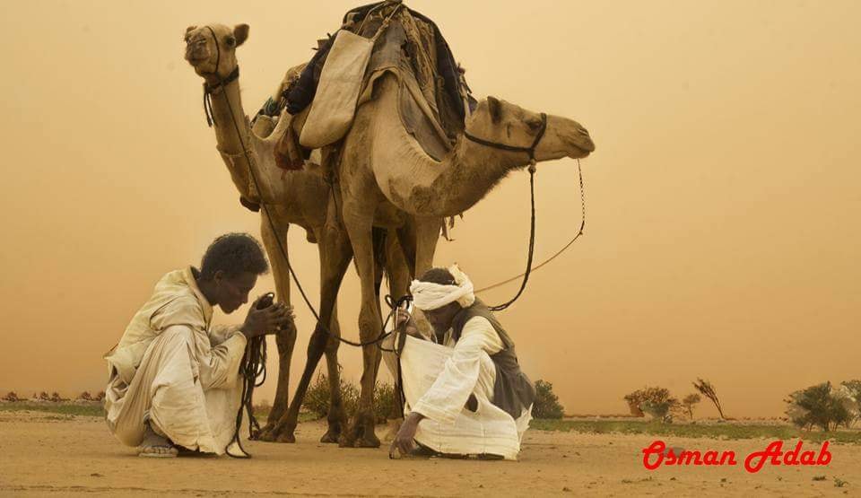 تراث واغاني شعب البجا