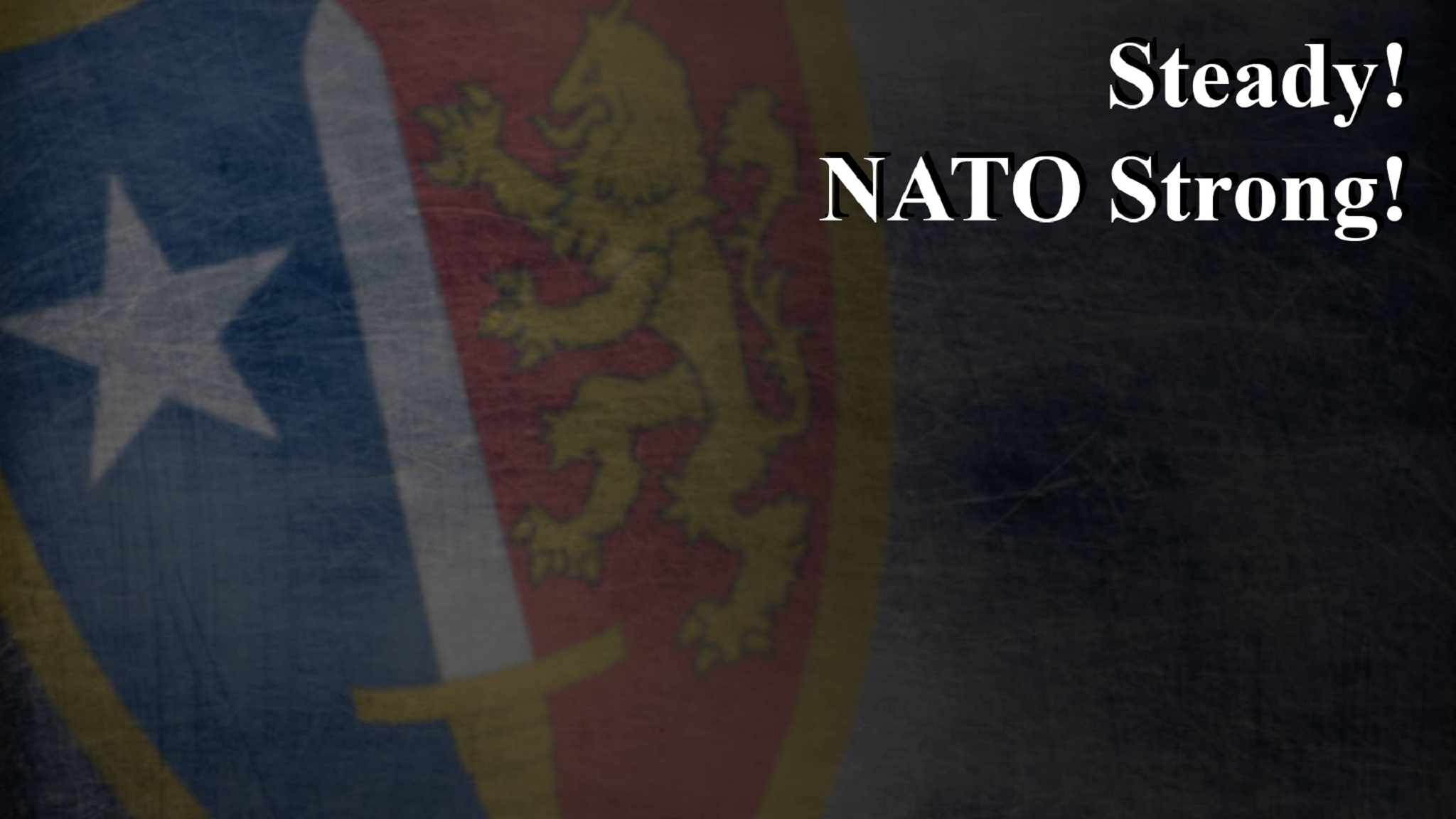 Congratulations to Lieutenant... - 2nd NATO Signal Battalion | Facebook