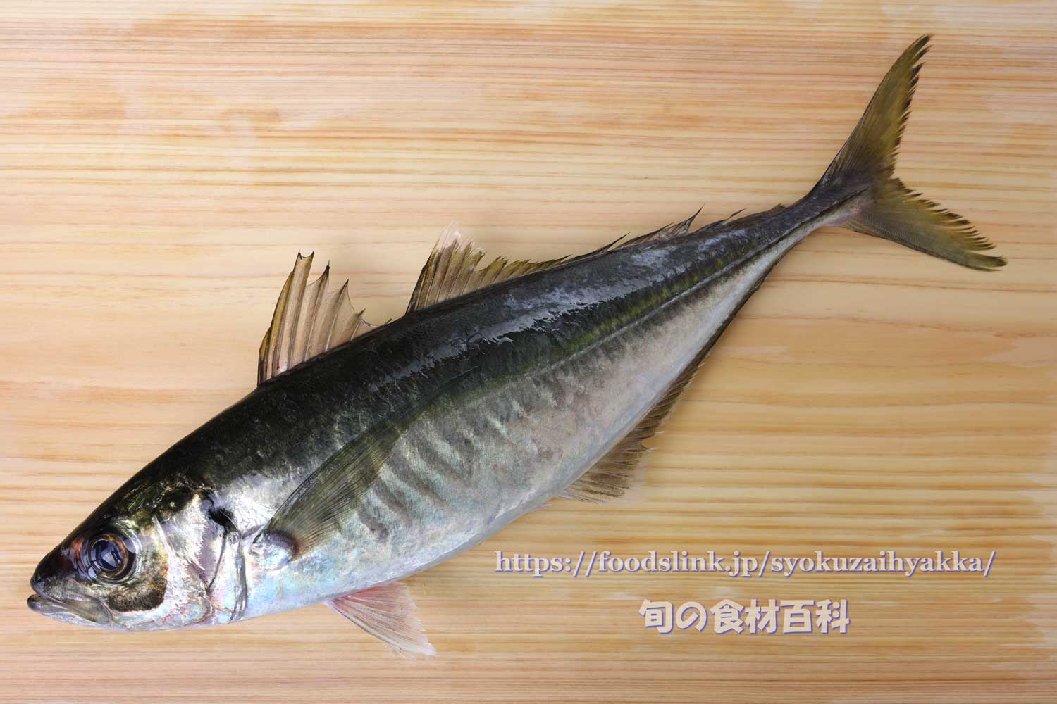 旬の食材百科 - マアジ https://foodslink.jp/syokuzaihyakka/syun/fish/aji1.htm 真あじ ...