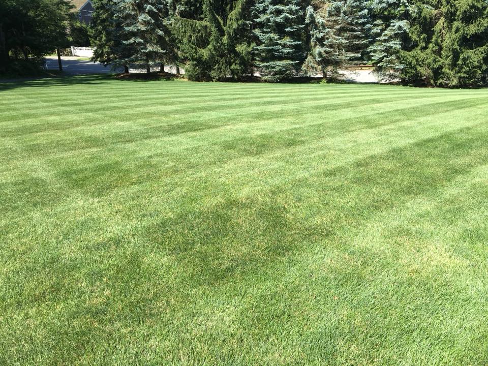 Executive Turf & Landscape | Stamford CT