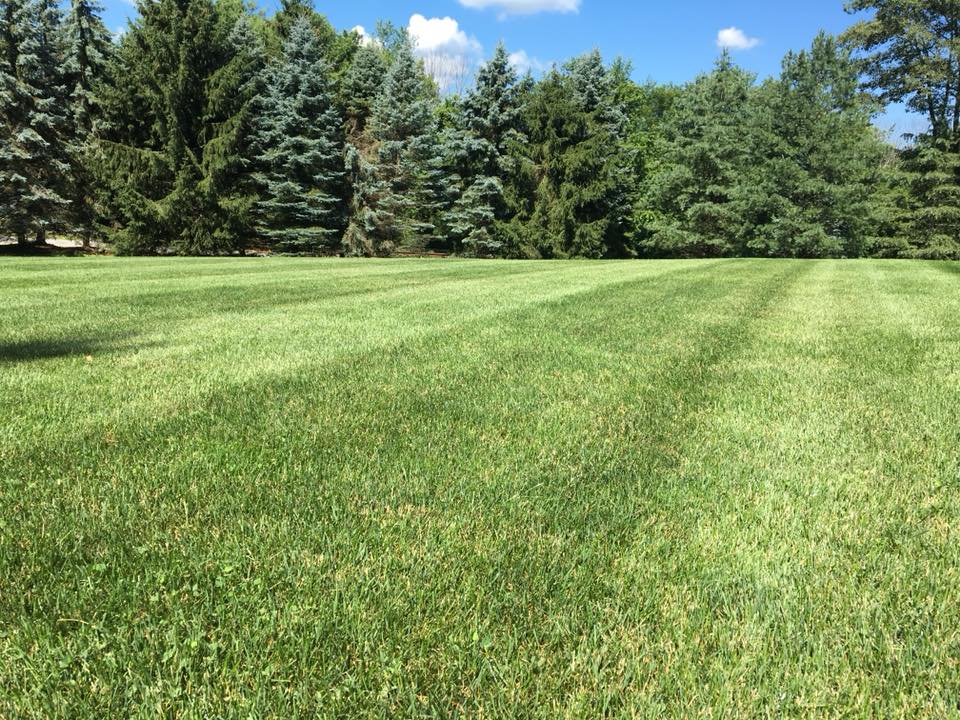 Executive Turf & Landscape | Stamford CT