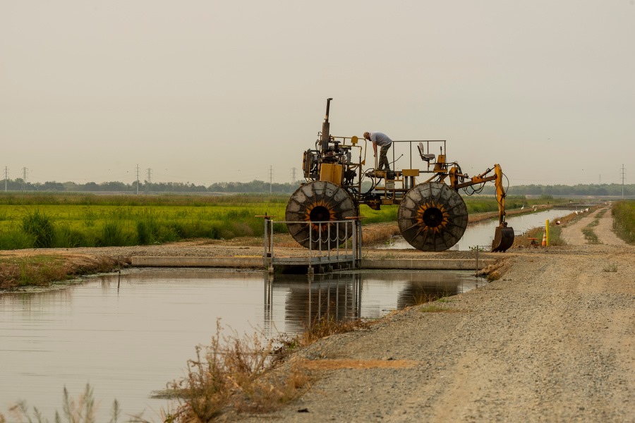 Come take a look at a morning... - California Rice Commission