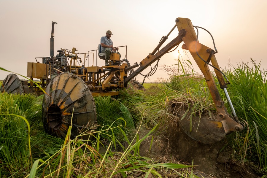 Come take a look at a morning... - California Rice Commission
