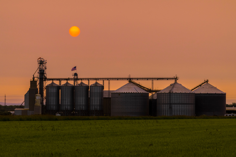 Come take a look at a morning... - California Rice Commission