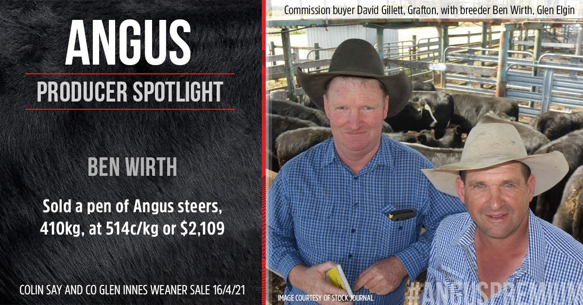 Angus - Producer Spotlight🙌: Ben Wirth, Glen Elgin sold a pen of the ...