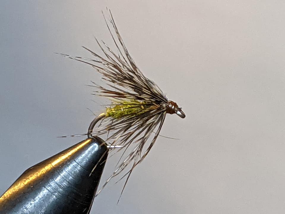 Soft Hackle Fly Pattern for Stillwater Fishing
