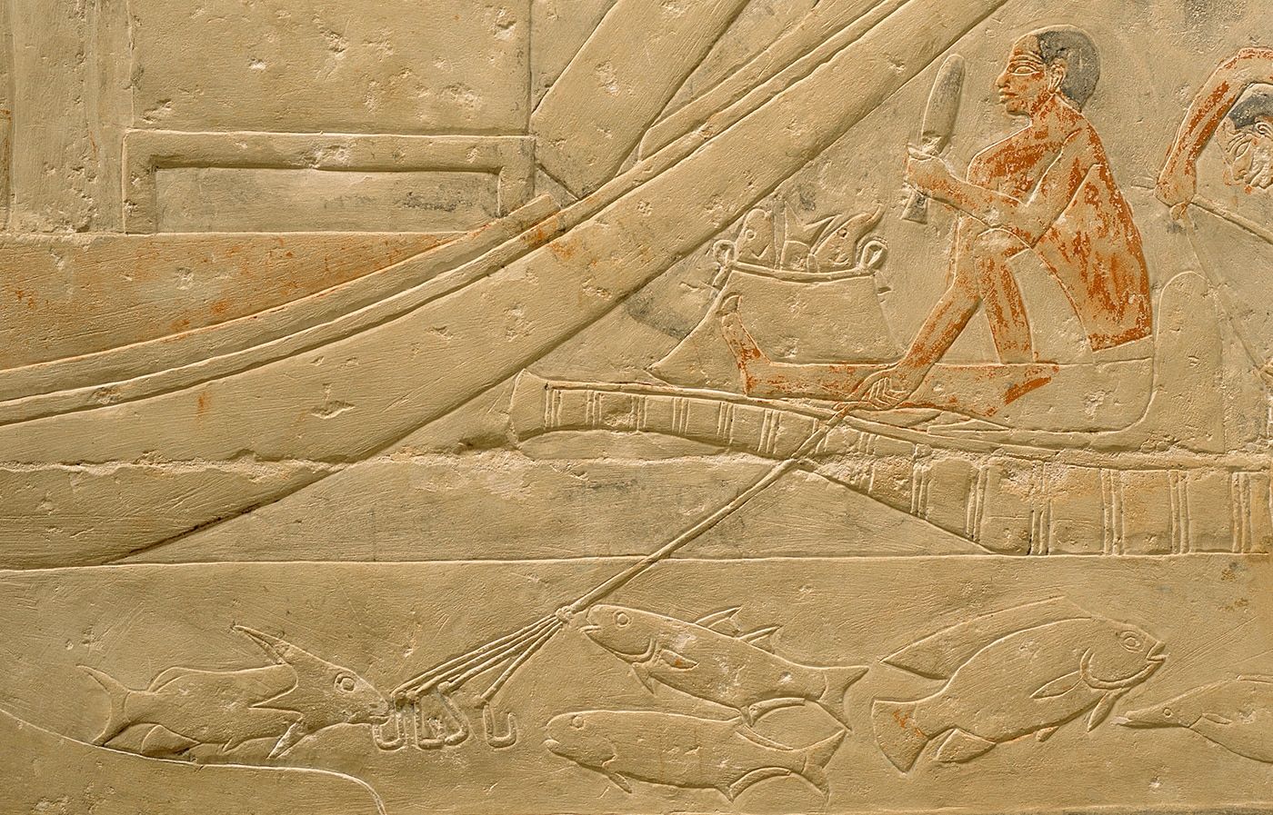 Gabriel - Fish fossils found during archaeological digs appear to show ...