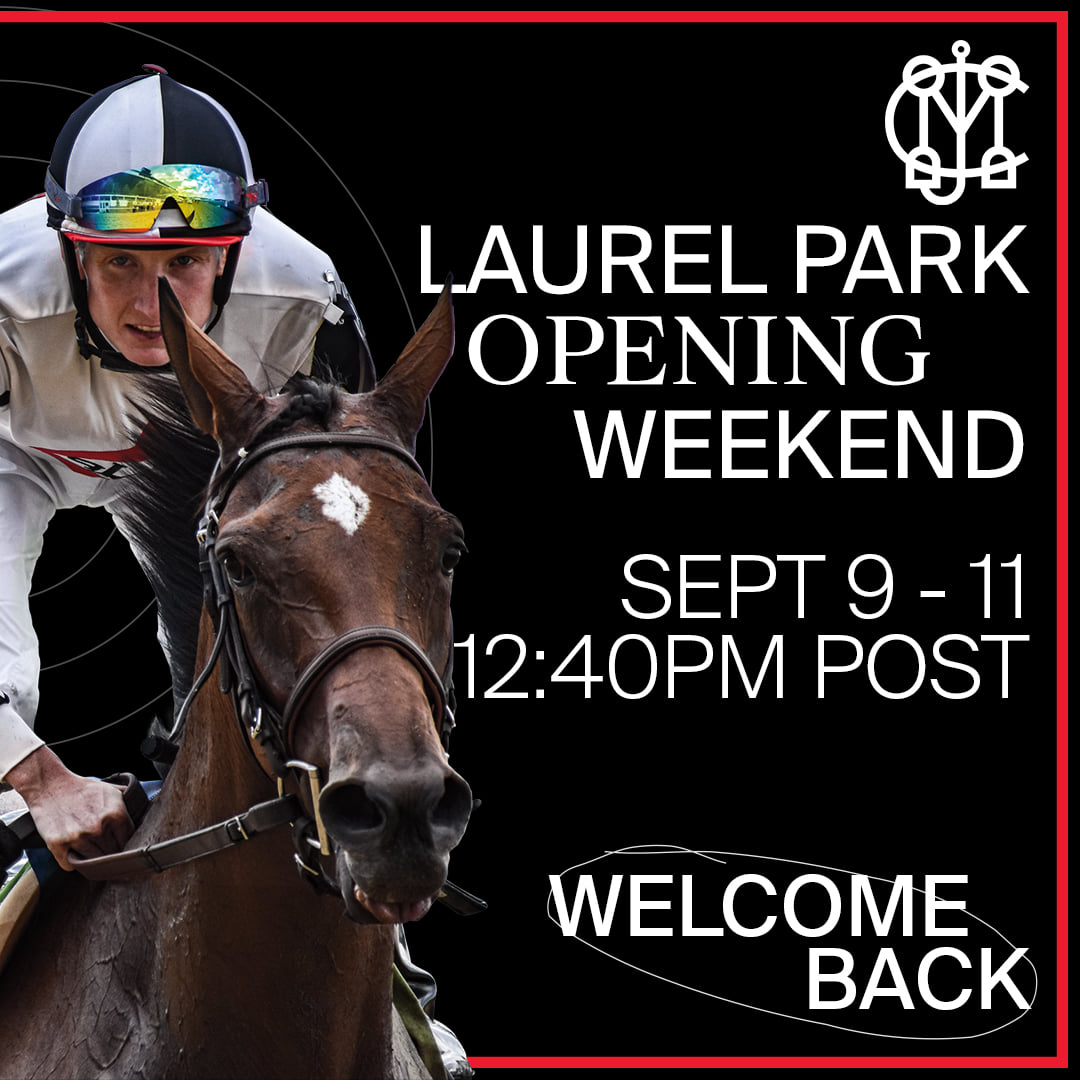 Paddock Pointe - Live racing is set to make its...