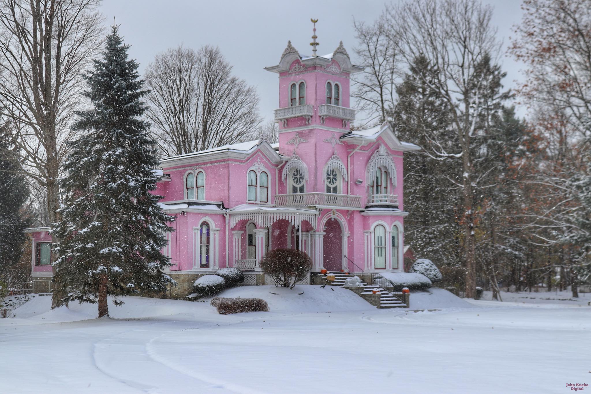 Pretty in Pink AND White: Light snow falling and 12 degree wind