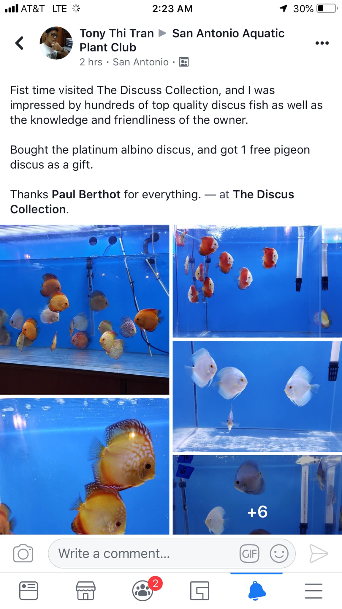 The Discus Collection | San Antonio TX
