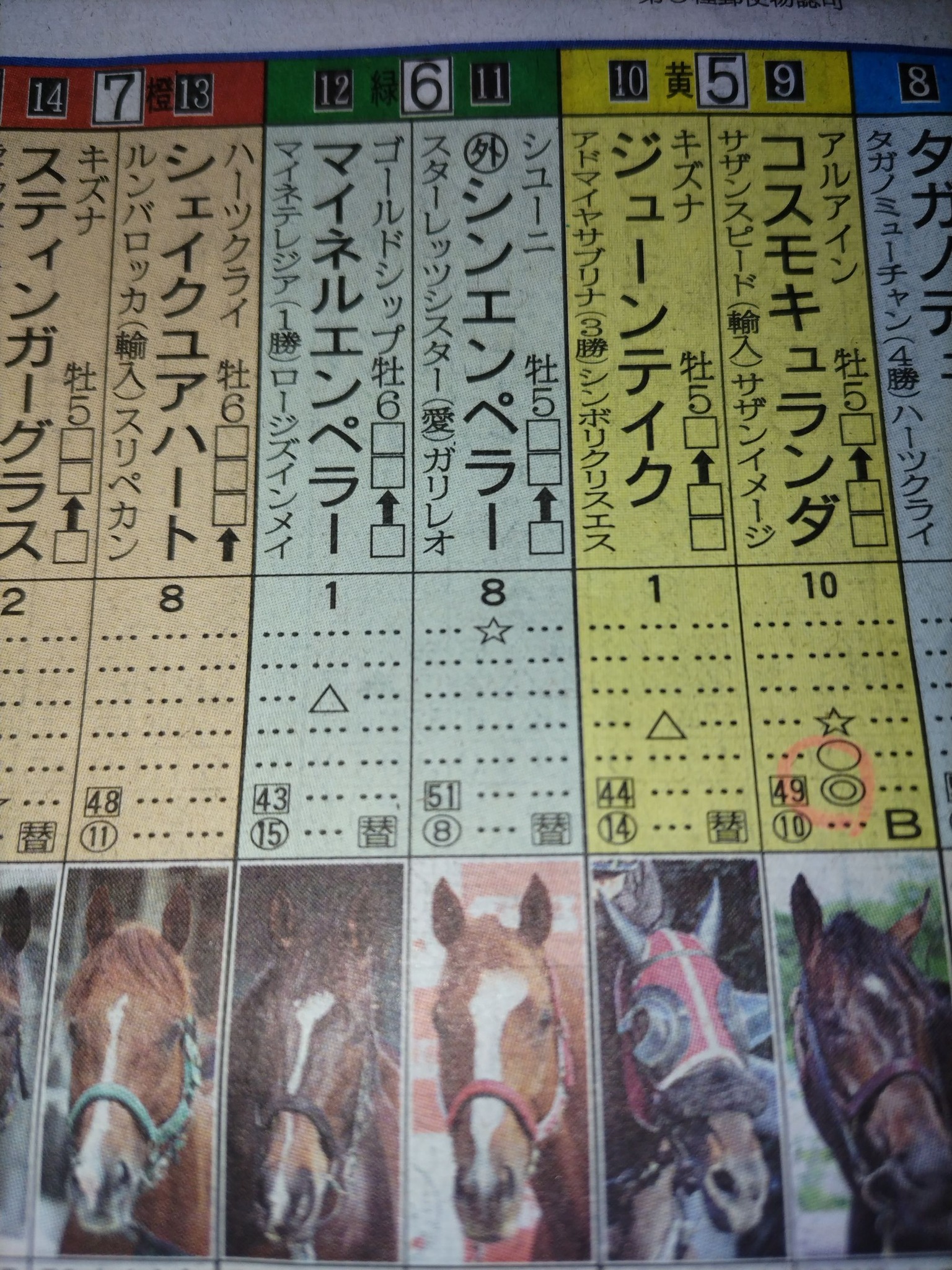 宝塚記念現地観戦できました。結局ファン投票した、最初の3頭で3連複 