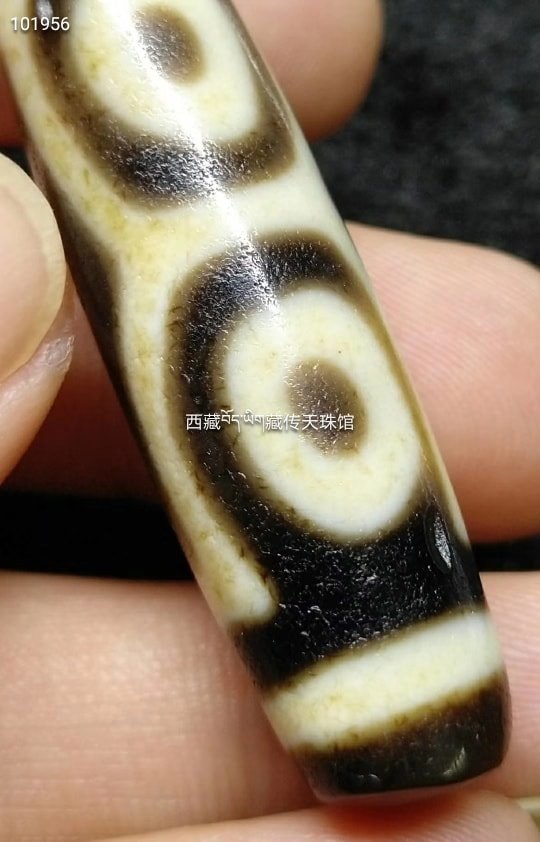至纯四眼天珠，细腻风化，褐黄色泽，尺寸51*13