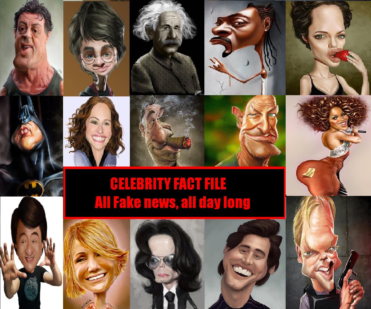 Celebrity Fact File