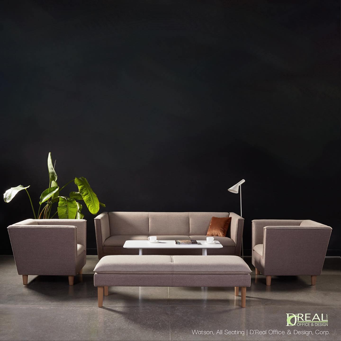 D'Real Office & Design | Catano