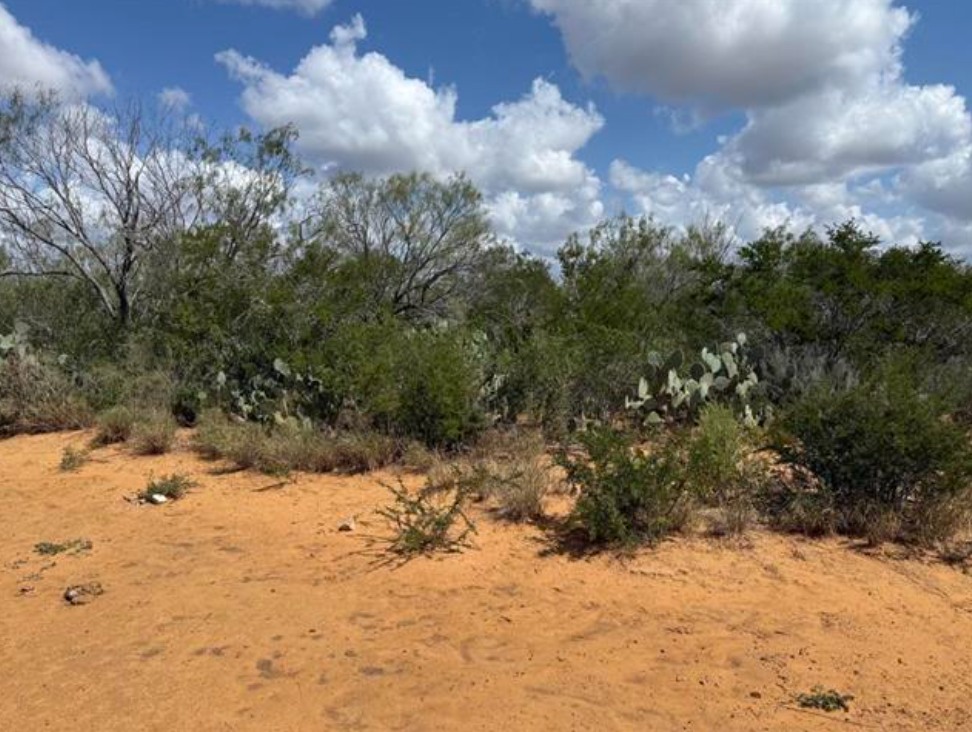 Ranch for Sale - Property For Sale - Laredo, Texas | Facebook ...